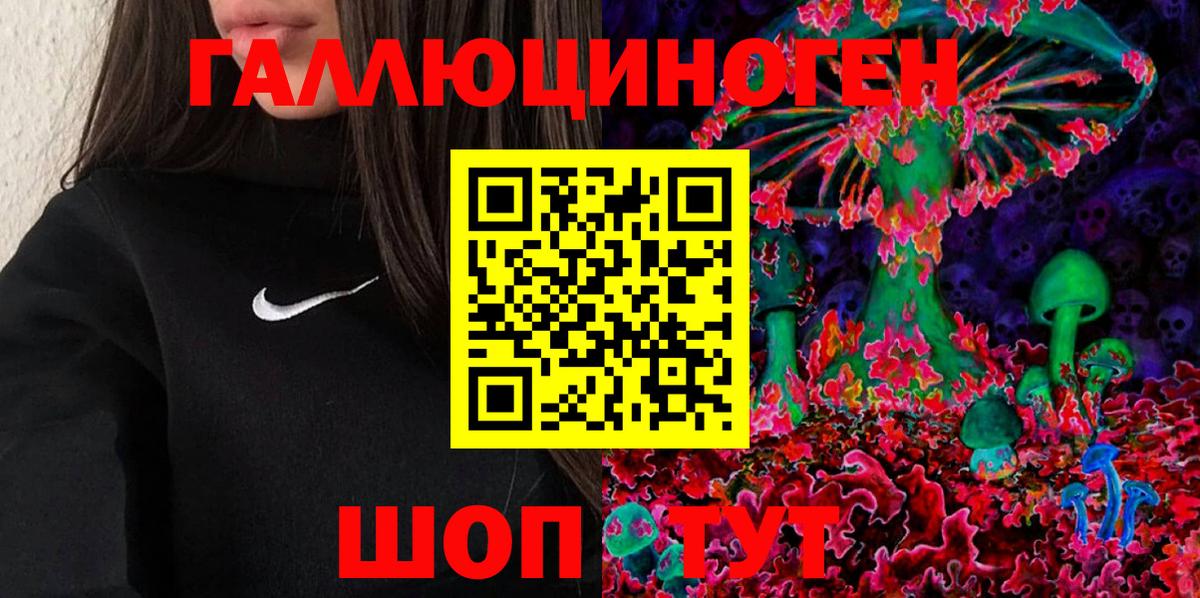 Галлюциногенные грибы Psilocybe Петропавловск-Камчатский